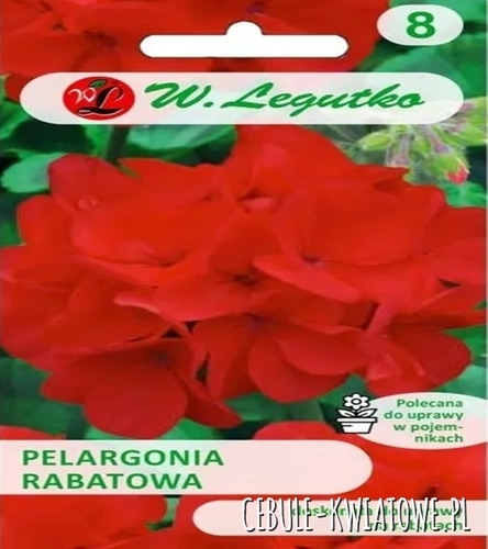 Pelargonia rabatowa Gama F1 - czerwona