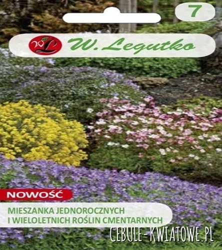 Mieszanka jednorocznych i wieloletnich roślin cmentarnych nagrobki