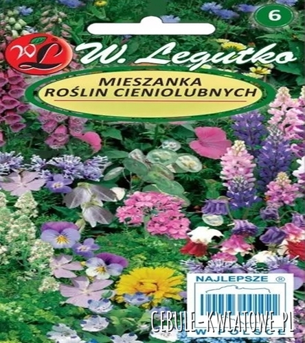 Mieszanka roślin cieniolubnych jednorocznych i wieloletnich