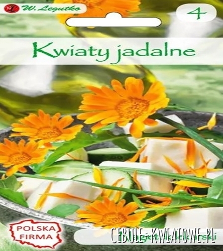 Kwiaty jadalne - Nagietek lekarski pomarańczowy
