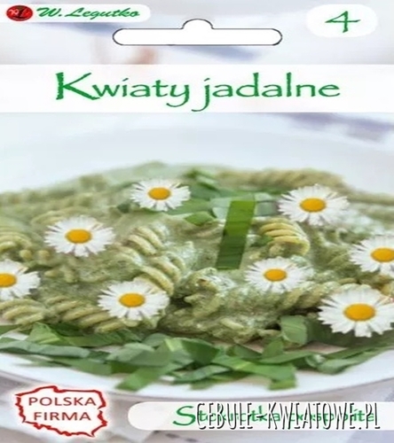 Kwiaty jadalne - Stokrotka pospolita, łąkowa biała