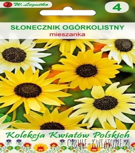 Kwiaty Polskie - Słonecznik ogórkolistny mieszanka