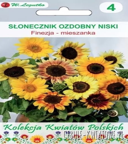 Kwiaty Polskie - Słonecznik ozdobny Finezja mieszanka