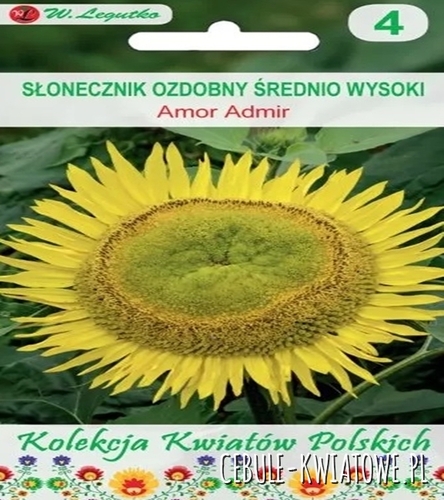 Kwiaty Polskie - Słonecznik ozdobny Amor Admir - żółte