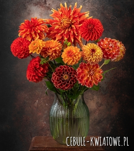 Kompozycja Ognisty Blask 6 szt.