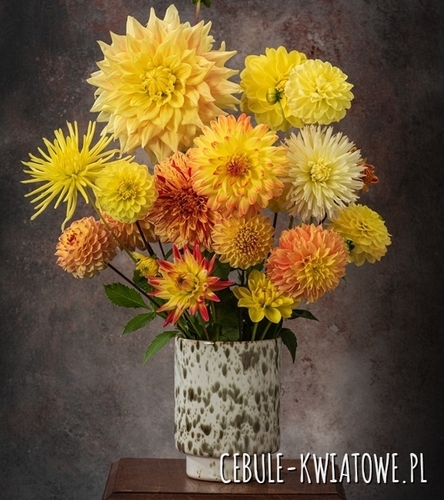 Kompozycja Złota Aura 7 szt.