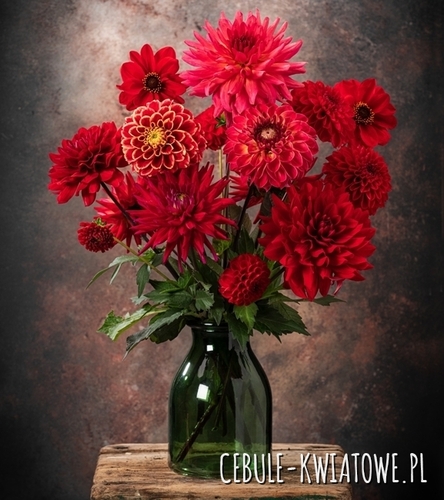 Kompozycja Płomienna Elegancja 5 szt.