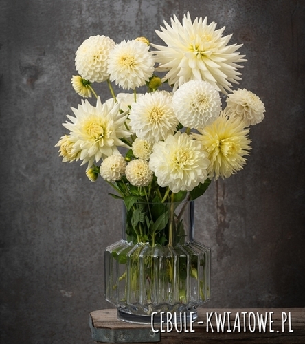 Kompozycja Śmietankowy Ogród 5 szt.