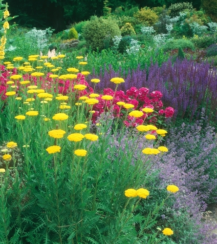 Kompozycja Letnia Przygoda 12 szt.