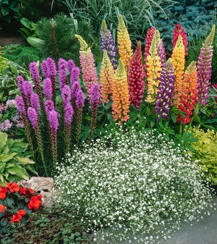 Kompozycja Tęczowa Melodia 16 szt.