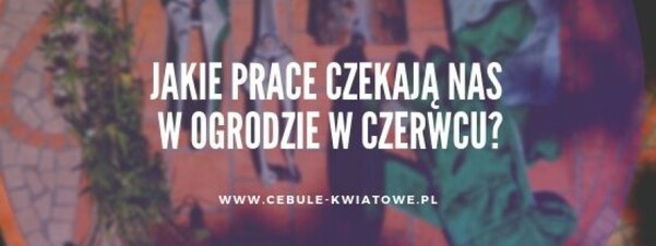 Jakie prace czekają nas w ogrodzie w czerwcu?