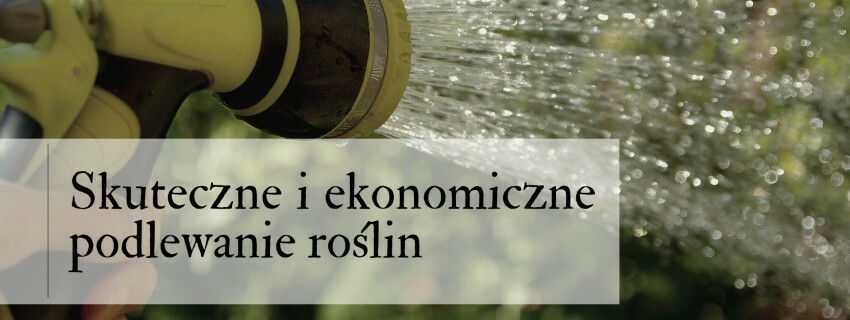 Skuteczne I Ekonomiczne Podlewanie Roślin - Cebule-kwiatowe.pl