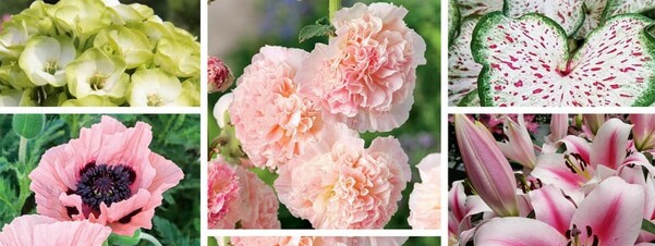 Wiosna 2022 - 5 nowości z naszej oferty