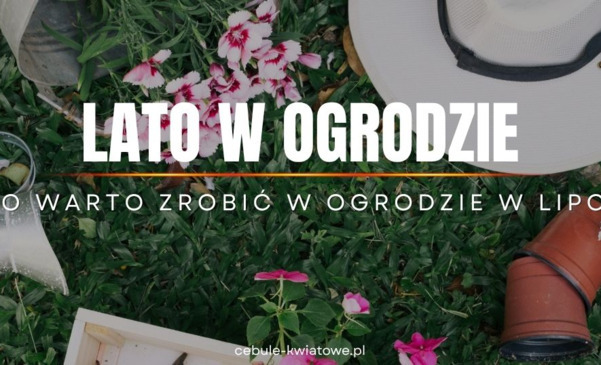 Lato w ogrodzie - co warto zrobić w ogrodzie w lipcu?