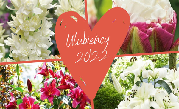 Ulubieńcy 2022 - 5 najchętniej kupowanych roślin z naszego sklepu