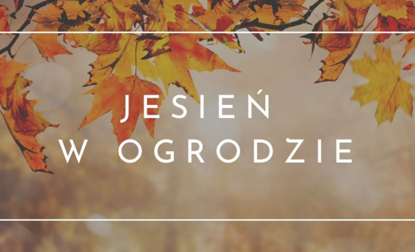 Jesień w ogrodzie - jak się przygotować i co warto zrobić?
