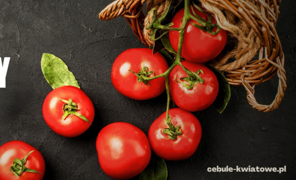 Pomidory malinowe - jak uprawiać i jakie odmiany wybrać?