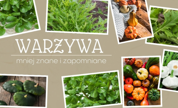 Mniej znane i zapomniane warzywa – czym wzbogacić kuchnię?