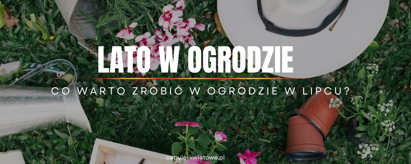 Lato w ogrodzie - co warto zrobić w ogrodzie w lipcu?