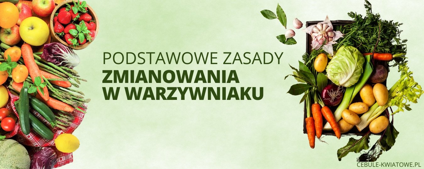 Zasady zmianowania w warzywniaku – jak to robić?