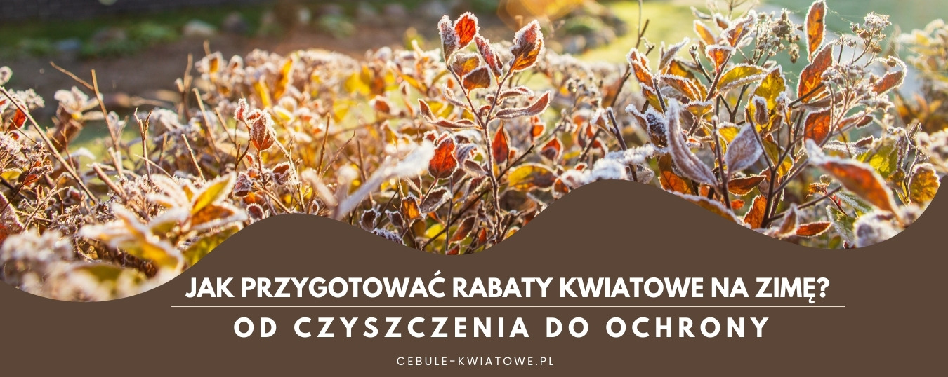 Jak przygotować rabaty kwiatowe na zimę? Od czyszczenia do ochrony.
